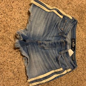 Cute Hollister Jean Shorts